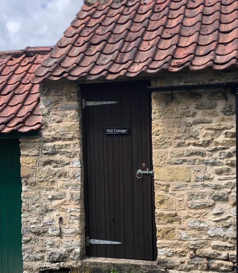 Hill Cottage, Thornton-Le-Dale Thornton Dale Zewnętrze zdjęcie